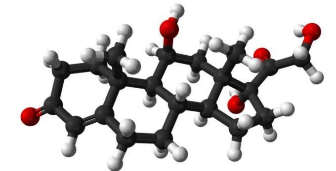 糖皮質(zhì)激素的新型生物標(biāo)志物可幫助定制治療