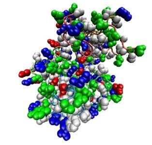 從鏡像生物學到增強的治療蛋白質