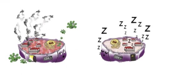 艾滋?。横槍Π滩〔《靖腥菊叩囊环N方法