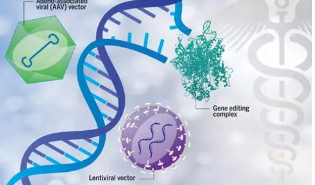 基因療法為患有罕見 無法治愈的疾病的兒童帶來期待已久的希望