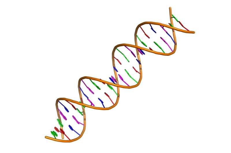 DNA標(biāo)簽使基于血液的測(cè)試能夠評(píng)估癌癥治療結(jié)果