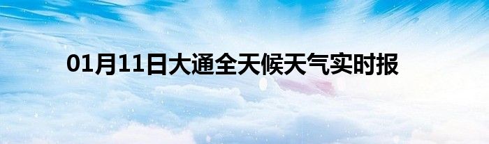 01月11日大通全天候天氣實時報