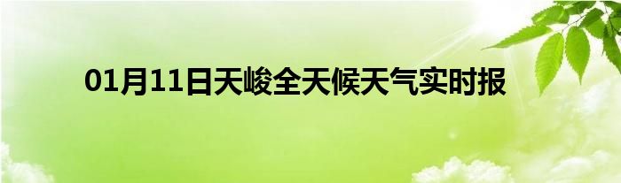 01月11日天峻全天候天氣實時報