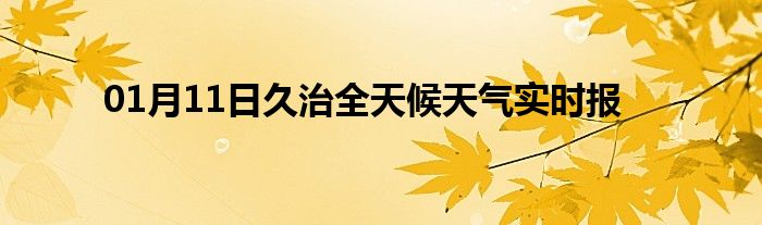 01月11日久治全天候天氣實時報