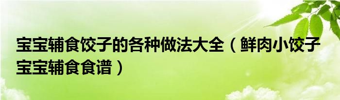 寶寶輔食餃子的各種做法大全（鮮肉小餃子  寶寶輔食食譜）