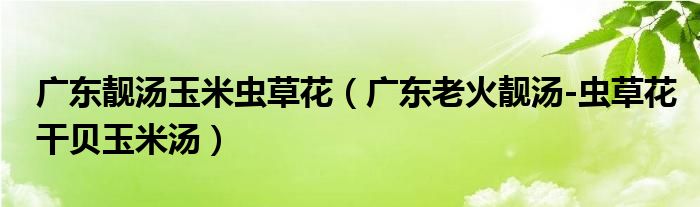 廣東靚湯玉米蟲草花（廣東老火靚湯-蟲草花干貝玉米湯）