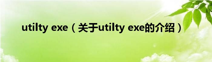 utilty exe（關(guān)于utilty exe的介紹）