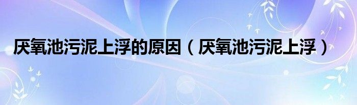 厭氧池污泥上浮的原因（厭氧池污泥上浮）