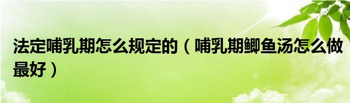 法定哺乳期怎么規(guī)定的（哺乳期鯽魚(yú)湯怎么做最好）