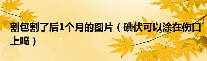 割包割了后1個(gè)月的圖片（碘伏可以涂在傷口上嗎）