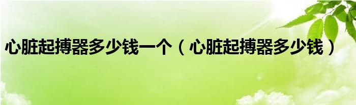 心臟起搏器多少錢(qián)一個(gè)（心臟起搏器多少錢(qián)）