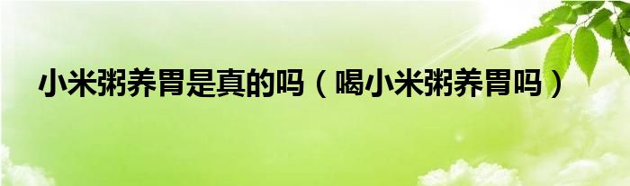 小米粥養(yǎng)胃是真的嗎（喝小米粥養(yǎng)胃嗎）