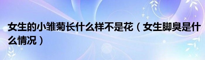 女生的小雛菊長(zhǎng)什么樣不是花（女生腳臭是什么情況）