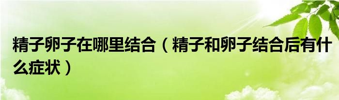 精子卵子在哪里結(jié)合（精子和卵子結(jié)合后有什么癥狀）