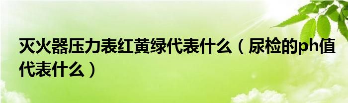 滅火器壓力表紅黃綠代表什么（尿檢的ph值代表什么）