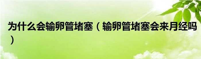 為什么會(huì)輸卵管堵塞（輸卵管堵塞會(huì)來月經(jīng)嗎）