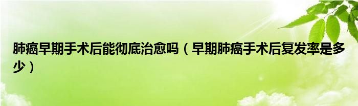 肺癌早期手術后能徹底治愈嗎（早期肺癌手術后復發(fā)率是多少）