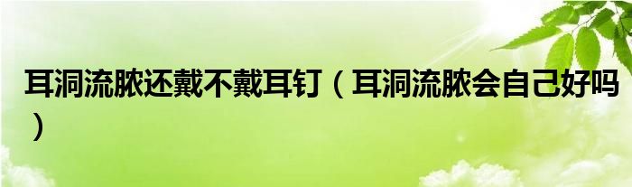 耳洞流膿還戴不戴耳釘（耳洞流膿會自己好嗎）