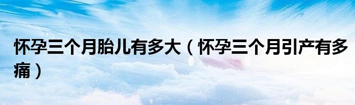 懷孕三個(gè)月胎兒有多大（懷孕三個(gè)月引產(chǎn)有多痛）