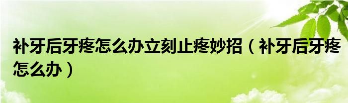 補牙后牙疼怎么辦立刻止疼妙招（補牙后牙疼怎么辦）