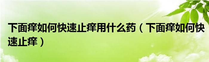 下面癢如何快速止癢用什么藥（下面癢如何快速止癢）