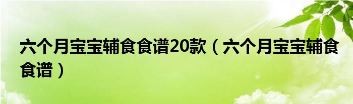 六個(gè)月寶寶輔食食譜20款（六個(gè)月寶寶輔食食譜）