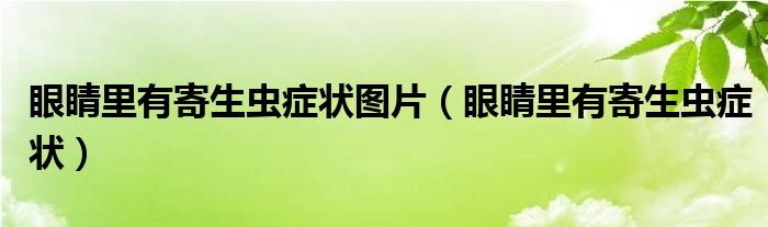 眼睛里有寄生蟲癥狀圖片（眼睛里有寄生蟲癥狀）