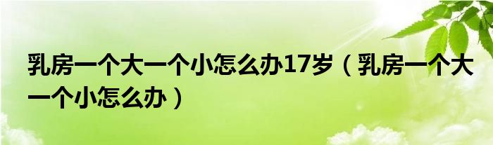 乳房一個大一個小怎么辦17歲（乳房一個大一個小怎么辦）