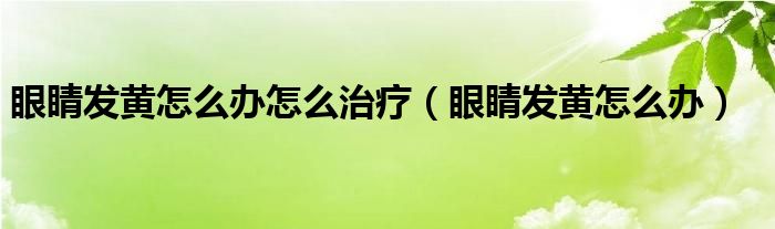 眼睛發(fā)黃怎么辦怎么治療（眼睛發(fā)黃怎么辦）