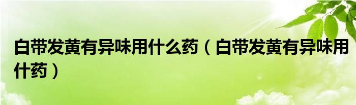 白帶發(fā)黃有異味用什么藥（白帶發(fā)黃有異味用什藥）