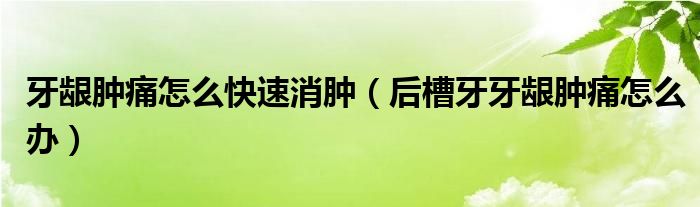 牙齦腫痛怎么快速消腫（后槽牙牙齦腫痛怎么辦）