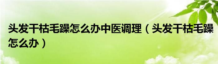 頭發(fā)干枯毛躁怎么辦中醫(yī)調(diào)理（頭發(fā)干枯毛躁怎么辦）