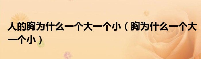 人的胸為什么一個(gè)大一個(gè)?。ㄐ貫槭裁匆粋€(gè)大一個(gè)?。?class='thumb lazy' /></a>
		    <header>
		<h2><a  href=