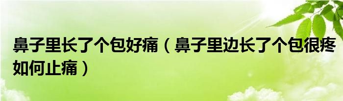 鼻子里長了個包好痛（鼻子里邊長了個包很疼如何止痛）