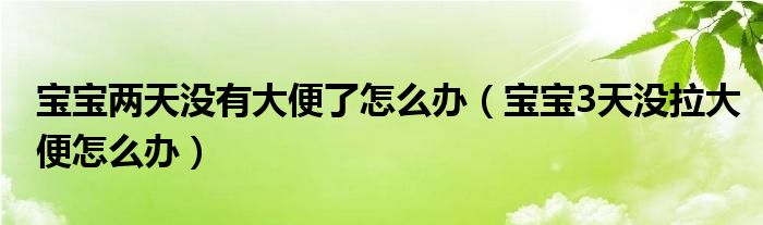 寶寶兩天沒有大便了怎么辦（寶寶3天沒拉大便怎么辦）