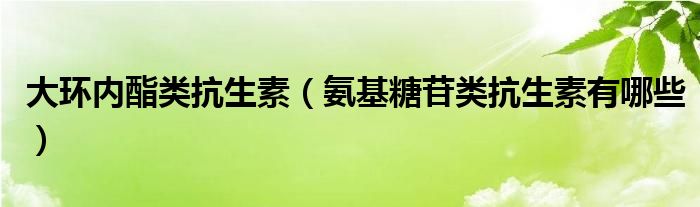 大環(huán)內(nèi)酯類抗生素（氨基糖苷類抗生素有哪些）