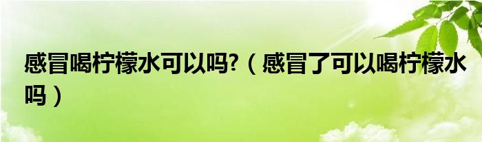 感冒喝檸檬水可以嗎?（感冒了可以喝檸檬水嗎）