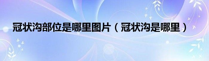 冠狀溝部位是哪里圖片（冠狀溝是哪里）