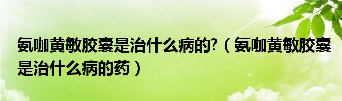 氨咖黃敏膠囊是治什么病的?（氨咖黃敏膠囊是治什么病的藥）