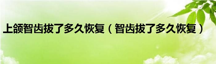 上頜智齒拔了多久恢復(fù)（智齒拔了多久恢復(fù)）