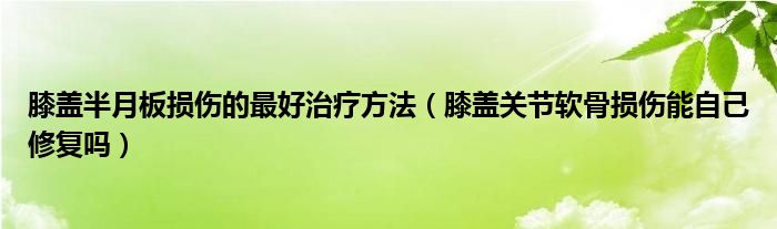 膝蓋半月板損傷的最好治療方法（膝蓋關(guān)節(jié)軟骨損傷能自己修復嗎）