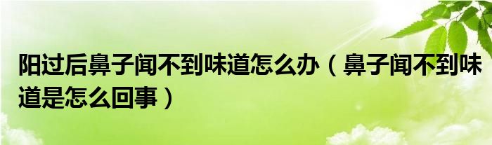 陽過后鼻子聞不到味道怎么辦（鼻子聞不到味道是怎么回事）