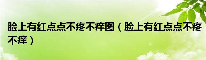 臉上有紅點(diǎn)點(diǎn)不疼不癢圖（臉上有紅點(diǎn)點(diǎn)不疼不癢）