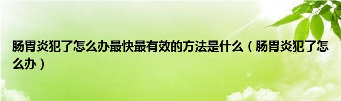 腸胃炎犯了怎么辦最快最有效的方法是什么（腸胃炎犯了怎么辦）