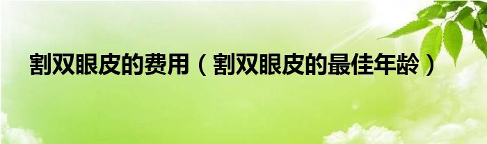 割雙眼皮的費(fèi)用（割雙眼皮的最佳年齡）