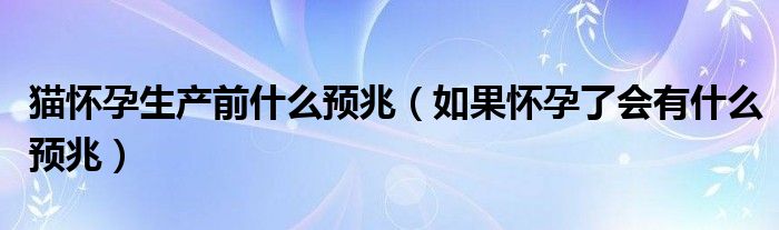 貓懷孕生產前什么預兆（如果懷孕了會有什么預兆）