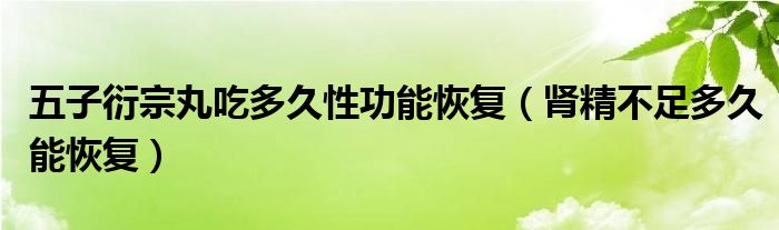 五子衍宗丸吃多久性功能恢復(fù)（腎精不足多久能恢復(fù)）