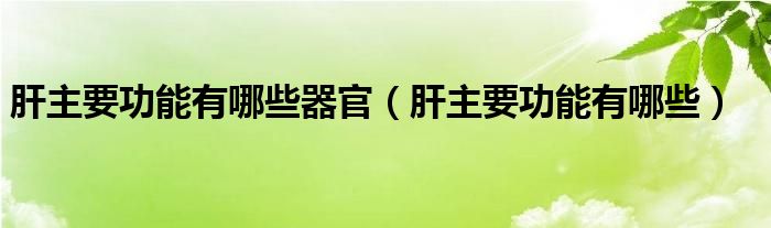 肝主要功能有哪些器官（肝主要功能有哪些）