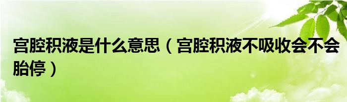 宮腔積液是什么意思（宮腔積液不吸收會不會胎停）