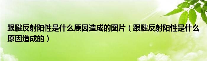 跟腱反射陽性是什么原因造成的圖片（跟腱反射陽性是什么原因造成的）